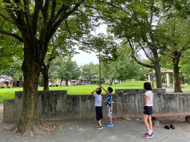 令和2年7月24日(金) A.M