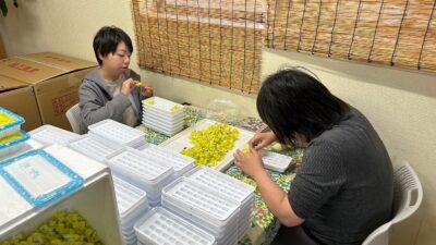 生活介護の作業風景